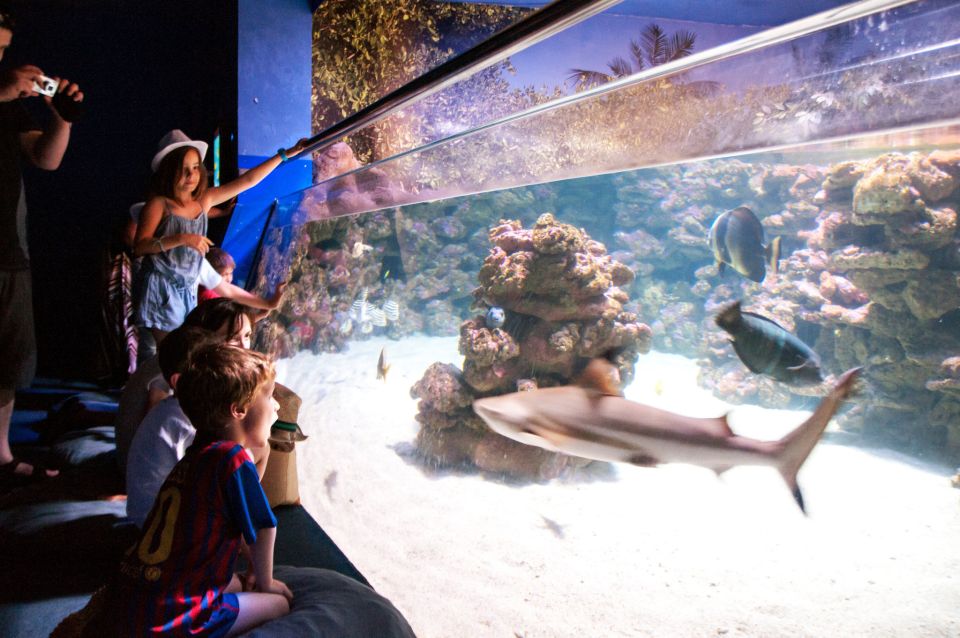 Mallorca: Palma Aquarium Tickets With Transfer - Key Points