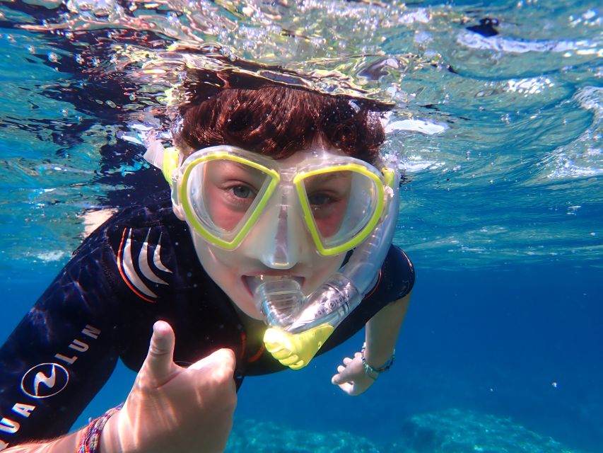 Mallorca: Snorkeling in a Beautiful Nature Reserve - Key Points