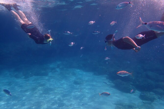 Mallorca: Snorkeling in a Beautiful Nature Reserve - Meeting Point and Logistics