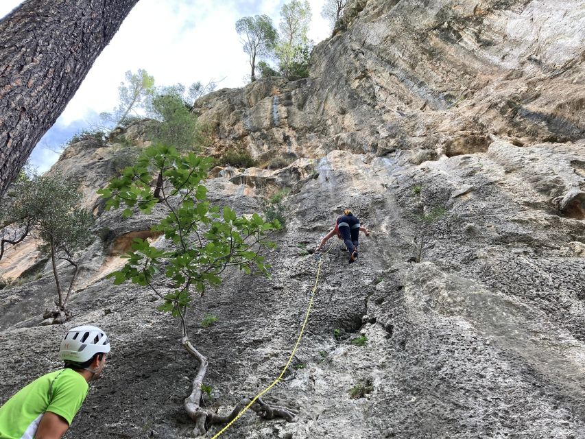 Mallorca: Sport Climbing Day or Course - Key Points