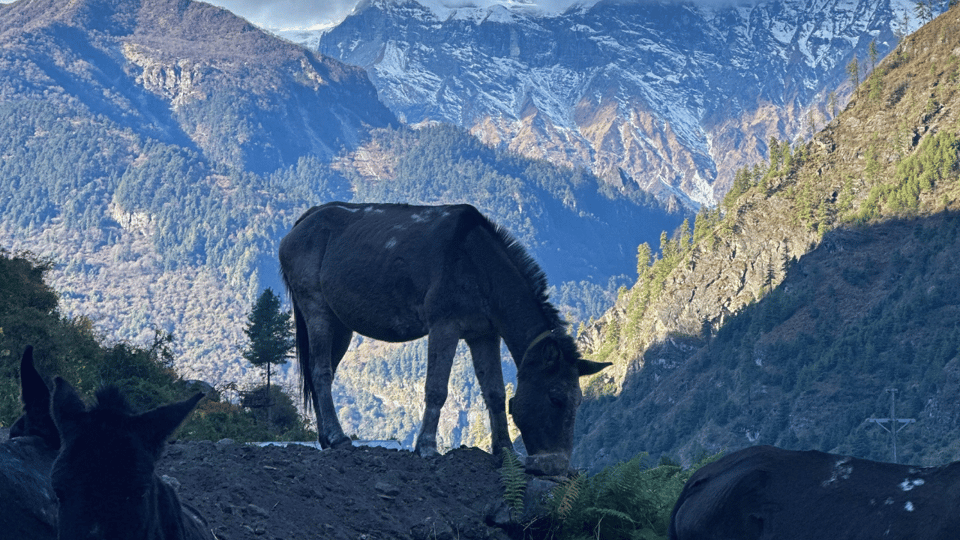 Manaslu Trek - 14 Days Larke La Pass : From Kathmandu - Accommodation Options