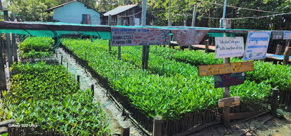 MANGROVES GREEN ESCAPES by Discovery Center, Kep West - Unique Landscape Exploration