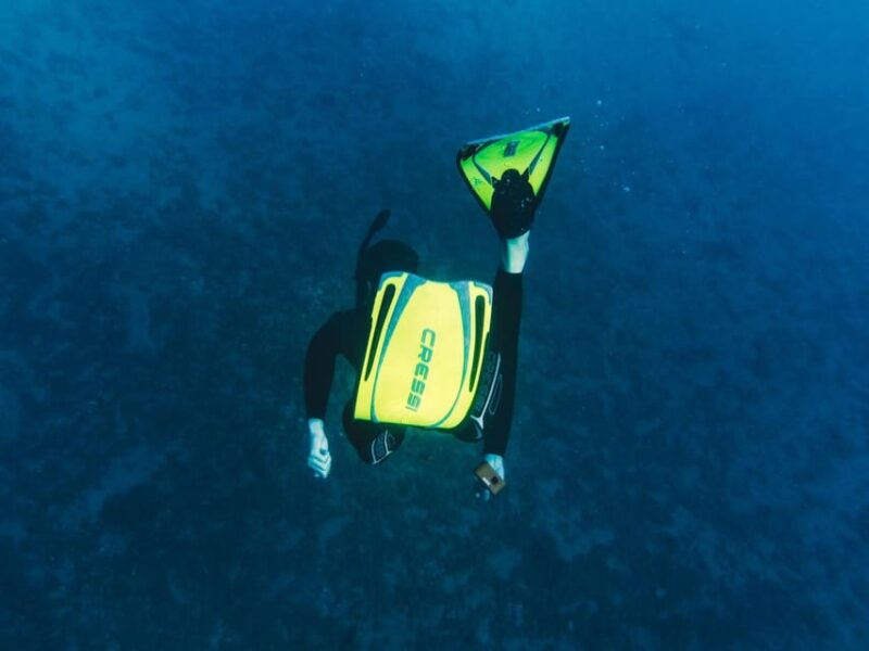 Marine Biology & Snorkelling Experience in the Cinque Terre - Key Points