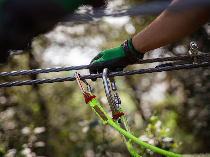 Marseille: Ecopark Adventures Treetop Adventure - Key Points