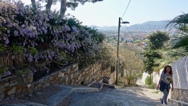 Marseille: Local Neighborhoods Guided Walking Tour - Key Points