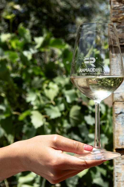 Marzamemi: FR Lovers Wine Tasting & Tour at Ramaddini - Key Points