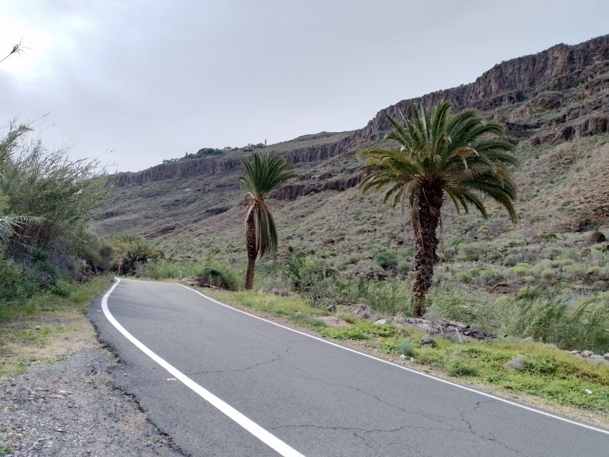 Maspalomas: Southern Coast E-Bike Tour Option Tapas Tasting - Key Points