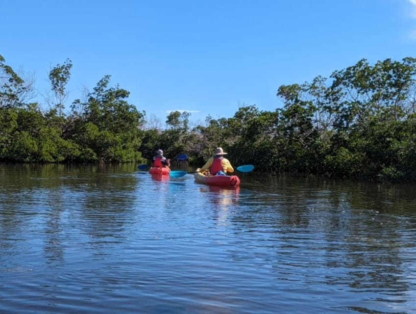 Matlacha: Dolphin & Mangrove Kayak Tour - Key Points