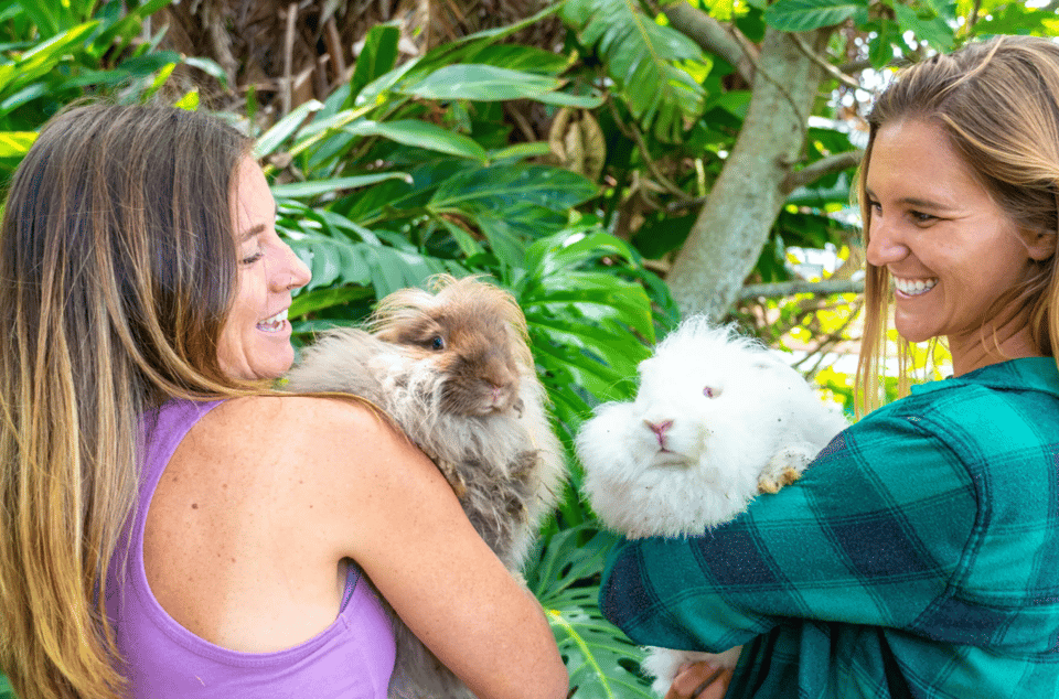 Maui: Alpaca Farm Visit With Hands-On Activities - Angora Bunny Village Visit