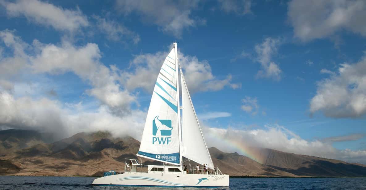 Maui: Exclusive Honolua Bay Sail From Maalaea Harbor - Key Points