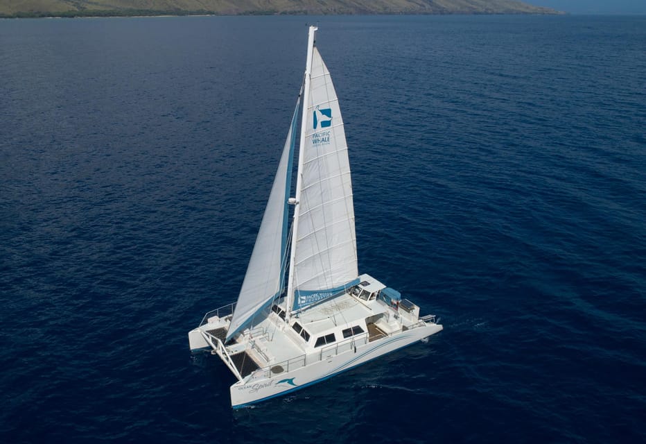 Maui: Molokini Crater Luxury Catamaran Sail - Key Points