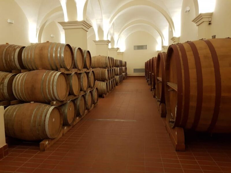 Mazara Del Vallo: Wine Tasting in the Nature Reserve - Key Points