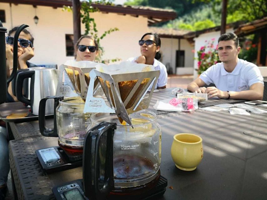 Medellin: Private 4-Hour Coffee Farm Visit - Key Points