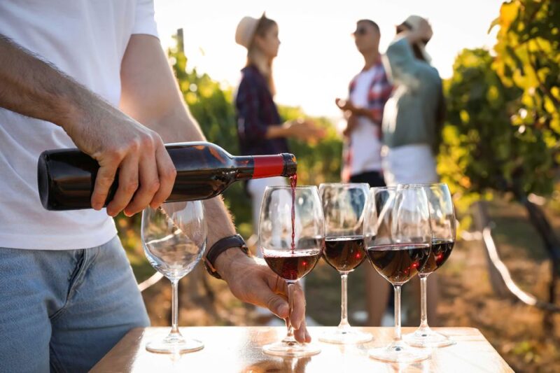 Medoc Tour : Margaux, Saint Estèphe and Greediness - Key Points