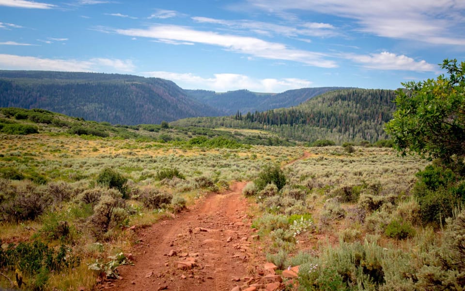 Meeker, CO: Half-Day Polaris Off-Road Vehicle Rental - Key Points