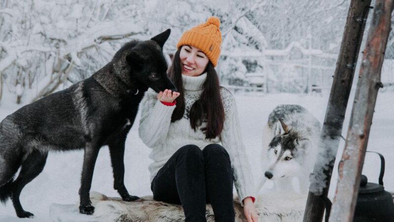 Meet Taivas & the Arctic Wolves - Private Tour - Key Points