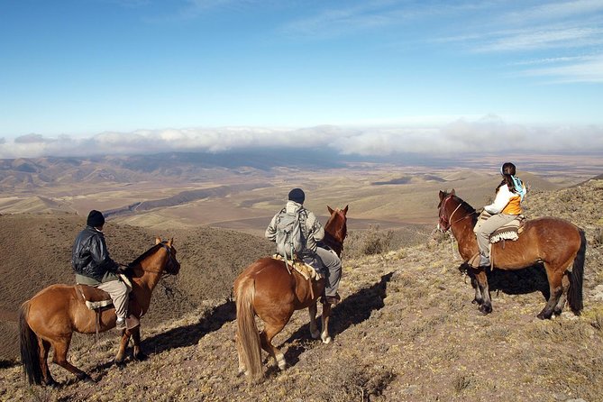 Mendoza Horseback Riding Tour With Traditional Argentine Asado - Good To Know