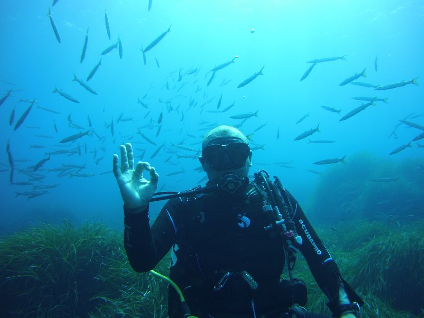 Menorca: Baptism Scuba Diving in Marine Reserve - Key Points