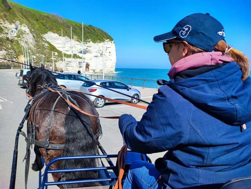 MENTHEVILLE : Horse Cariage Ride in Coutryside - Key Points