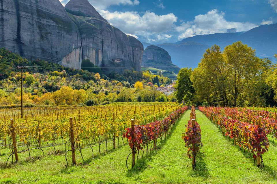 Meteora Private Wine Tasting Experience - Key Points