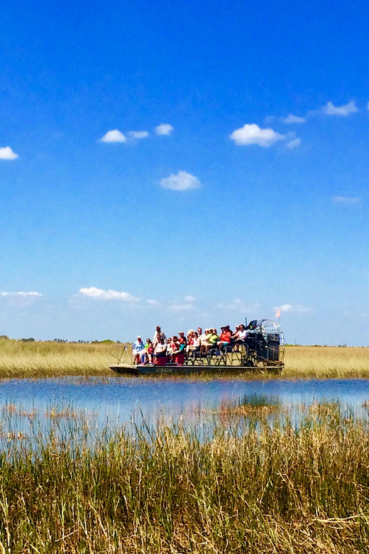 Miami: 60 Min Airboat, Transfer and Wildlife Sanctuary - Key Points