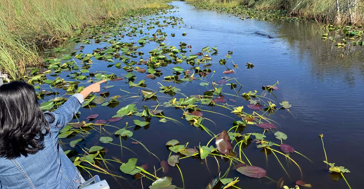 Miami: Everglades Airboat, Photo & Gator Experience - Key Points