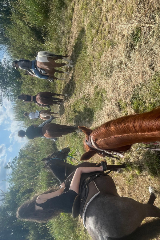 Miami: Horseback Riding - Key Points