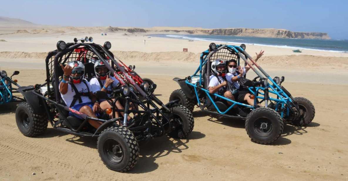 Minibuggy Adventure and Visit to the Paracas Reserve - Key Points