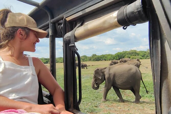 Minneriya National Park Elephant Jeep Safari Private Tour - Good To Know