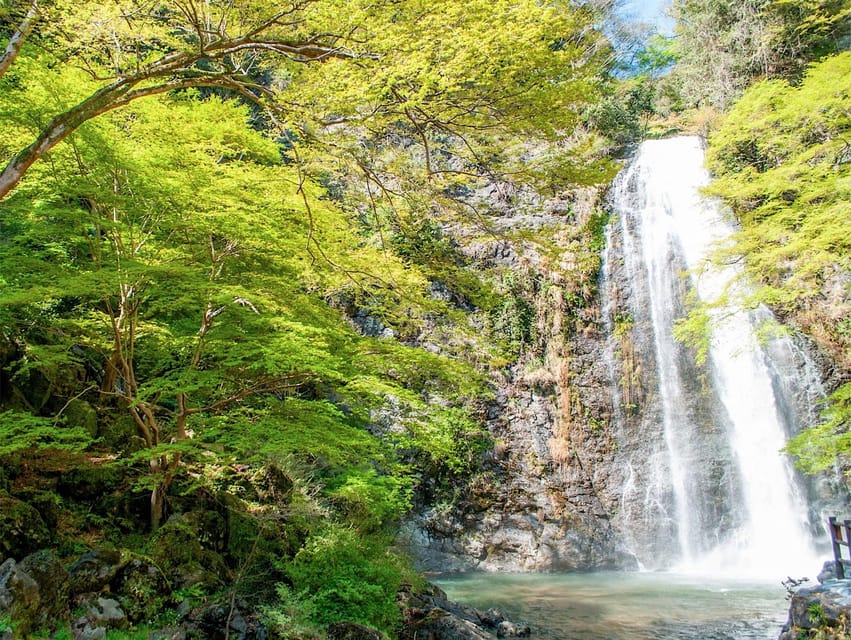 Minoo Park: Guided Nature Walk - Tour Overview and Details