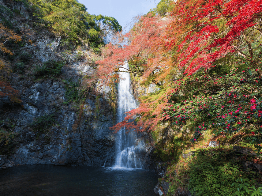 Minoo Park: Guided Nature Walk - Recap