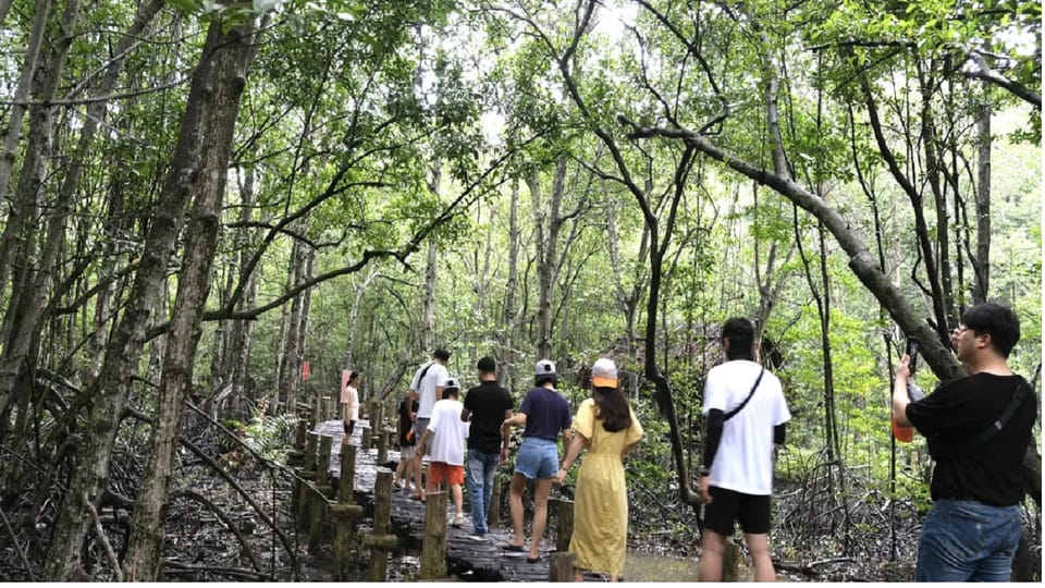 Monkey Island + Vam Sat Mangrove Forest 1 Day - Key Points