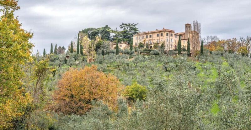 Monteleone Sabino: EVOO Tasting Experience, PVT Convent Tour - Key Points