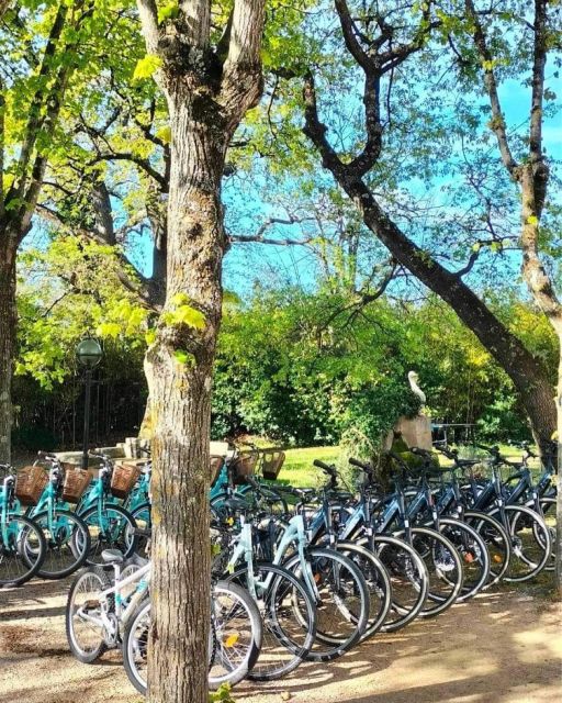 Monteux: Bike Rental - Key Points