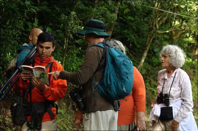 Monteverde Cloud Forest Tour With a Certified Tour Guide - Good To Know