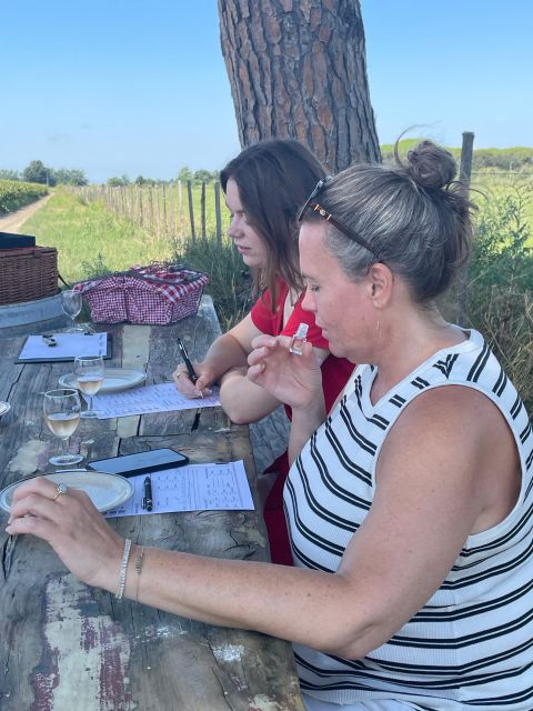 Montpellier: a Full Day to Discover the Camargue - Key Points