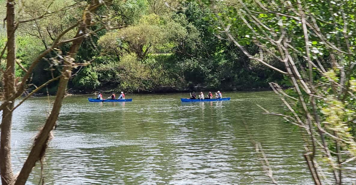 Mosel Canoe Tour Traben-Trarbach to Zell 18km/4-8 Hours - Key Points