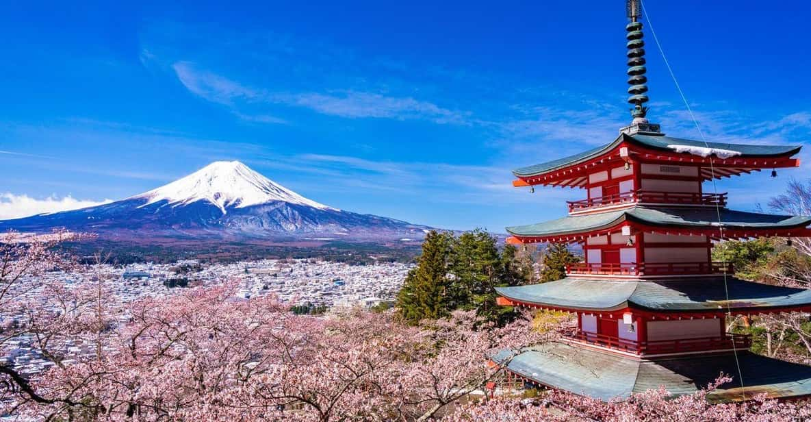 Mount Fuji 1-Day Trip: the Hottest Photography Tour - Tour Overview and Pricing