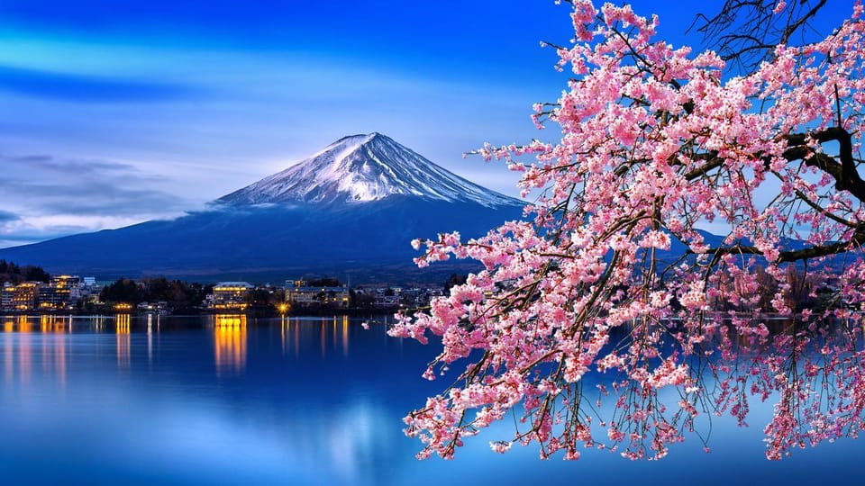 Mount Fuji and Hakone Full-Day Private Tour - Tour Overview and Pricing