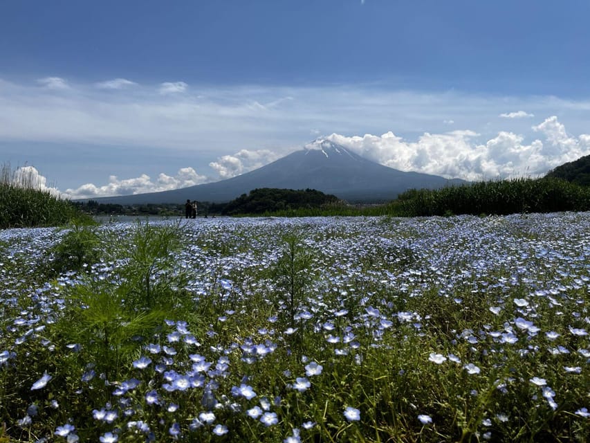 Mount Fuji Day Trip: Adventure Around Lake Kawaguchiko - Tour Overview and Details