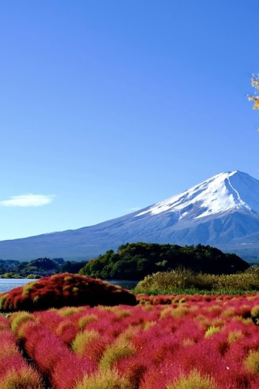 Mount Fuji Full Day Private Tour With Pick-Up and Drop off - Accessibility Features