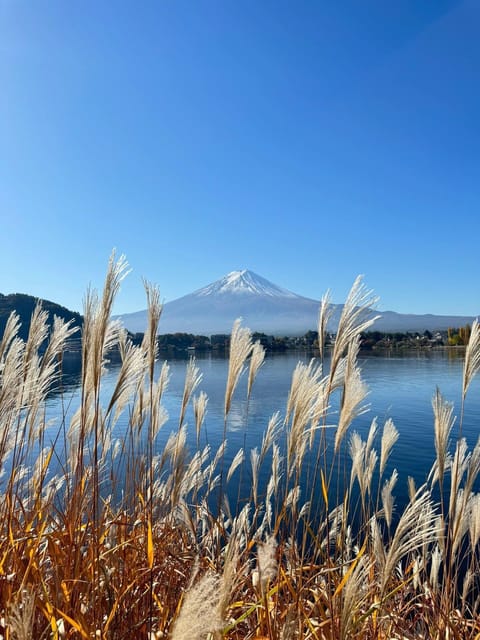 Mount Fuji Full Day Sightseeing Private Tour - Tour Overview