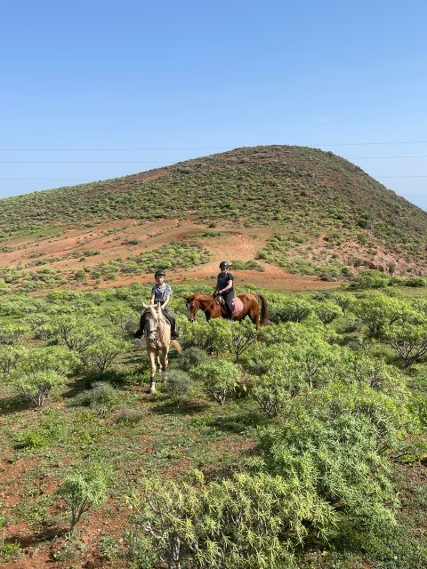 Mountain Panoramic Tour of 2 Hours - Key Points