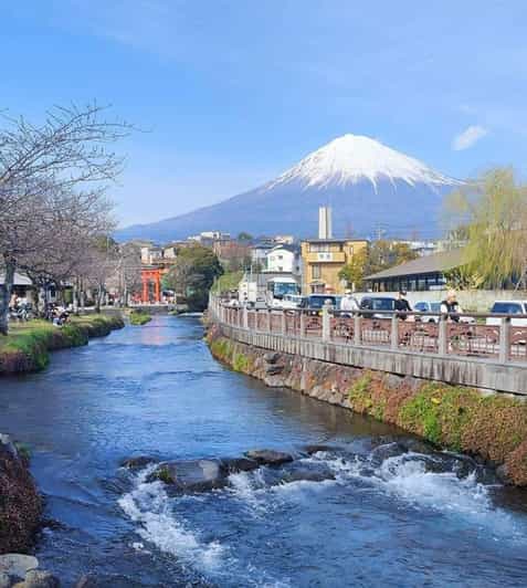 Mt Fuji and Hakone Private Tour With English Speaking Driver - Tour Overview and Pricing