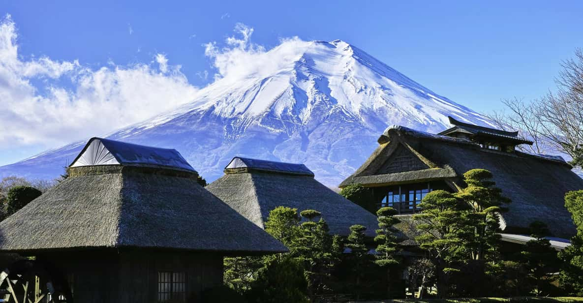 Mt Fuji: Full Day Private Tour From Tokyo by Luxury Vehicle - Key Points