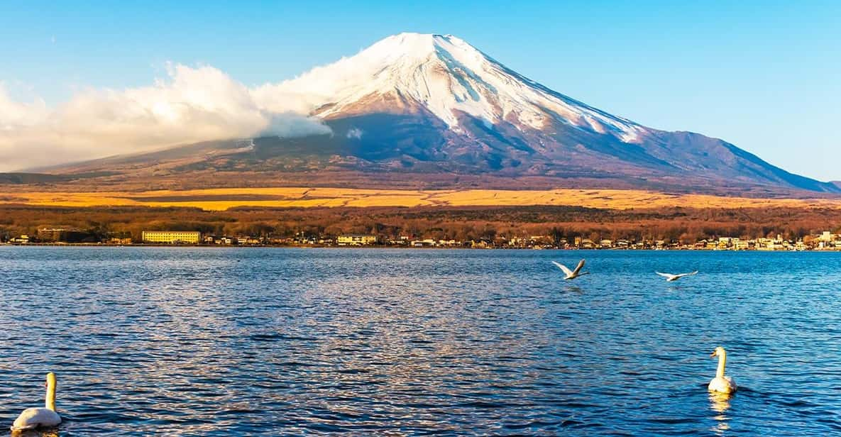 Mt.Fuji, Lake Kawaguchi &Yamanaka, Hot Spring Full-Day Tour - Tour Overview and Pricing