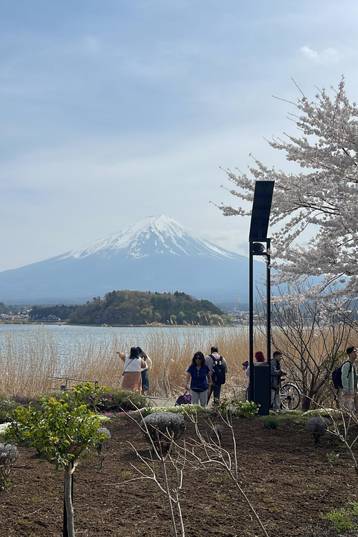 Mt. Fuji One Day Private Tour by Car With English Driver - Tour Overview