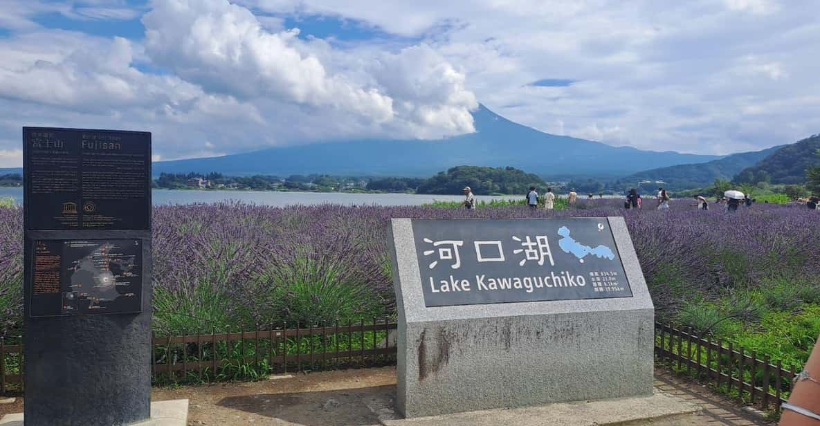 Mt. Fuji: Private Tour With English Guide - Tour Overview and Pricing