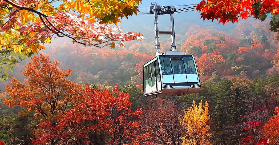 Mt Seorak(Cablecar Option)+ Sokcho Beach&Market+ Observatory - Key Points