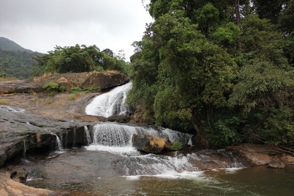 Munnar: Tea Garden and Elephant Safari Trip by 4x4 - Key Points